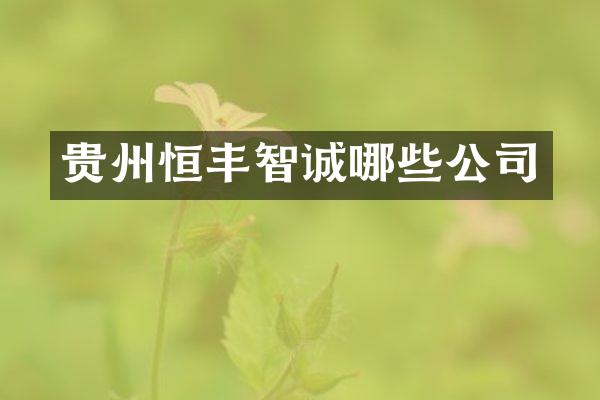 贵州恒丰智诚哪些公司