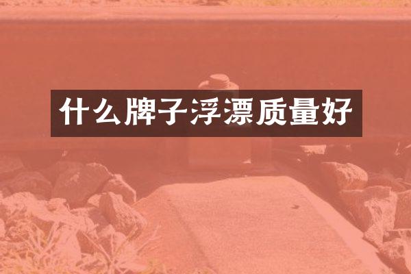 什么牌子浮漂质量好