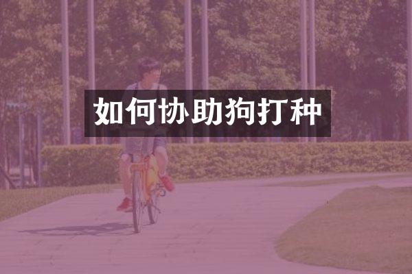 如何协助狗打种