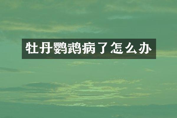 牡丹鹦鹉病了怎么办