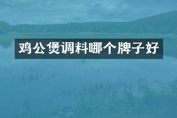鸡公煲调料哪个牌子好