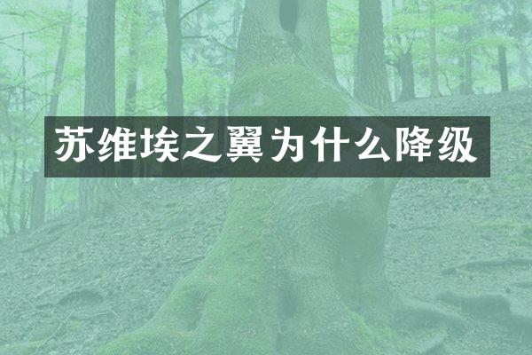 苏维埃之翼为什么降级