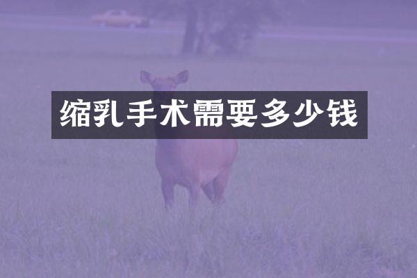 缩乳手术需要多少钱