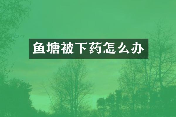 鱼塘被下药怎么办