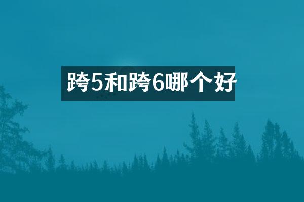 跨5和跨6哪个好