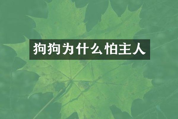 狗狗为什么怕主人