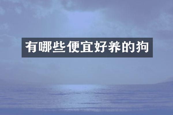有哪些便宜好养的狗