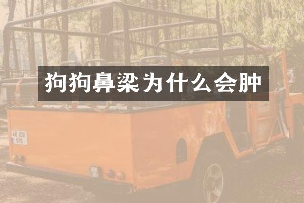 狗狗鼻梁为什么会肿