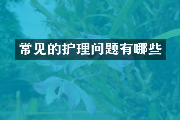 常见的护理问题有哪些