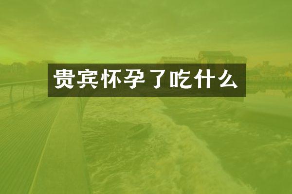 贵宾怀孕了吃什么