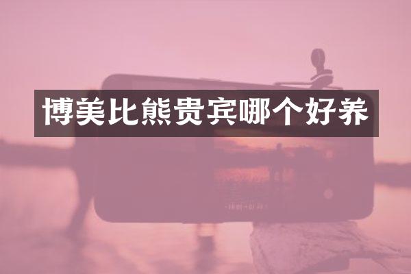 博美比熊贵宾哪个好养