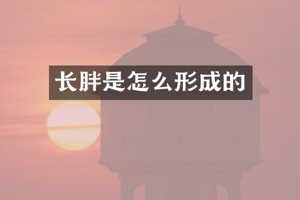 长胖是怎么形成的