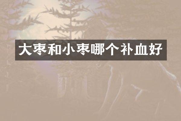 大枣和小枣哪个补血好
