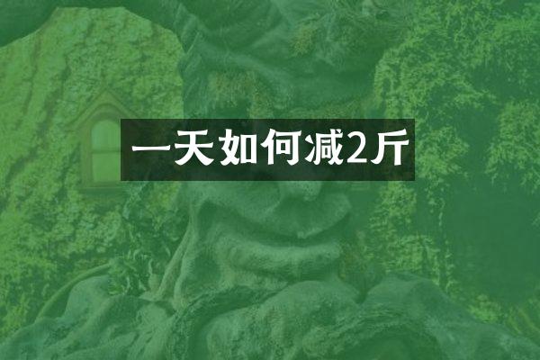 一天如何减2斤