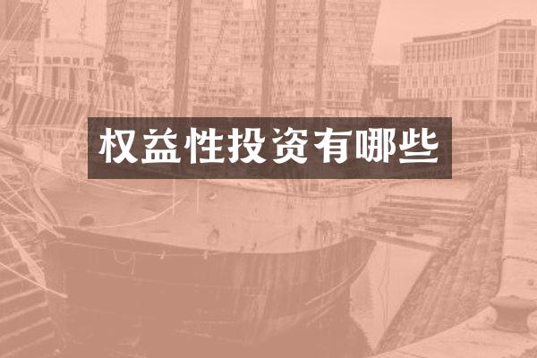 权益性投资有哪些