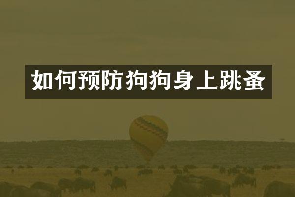 如何预防狗狗身上跳蚤