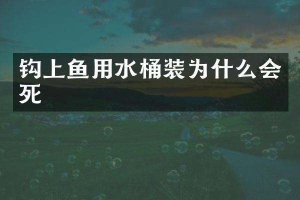 钩上鱼用水桶装为什么会死