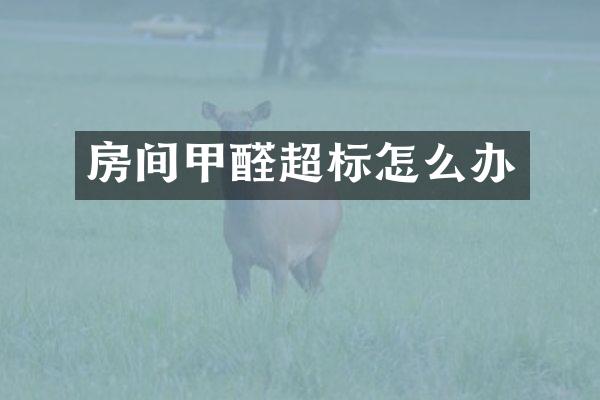 房间甲醛超标怎么办