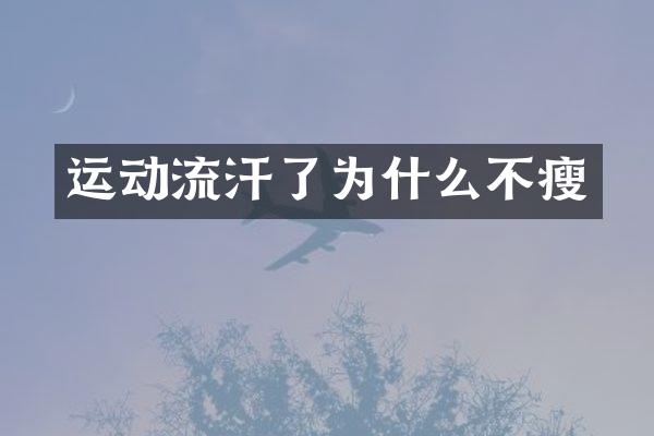 运动流汗了为什么不瘦