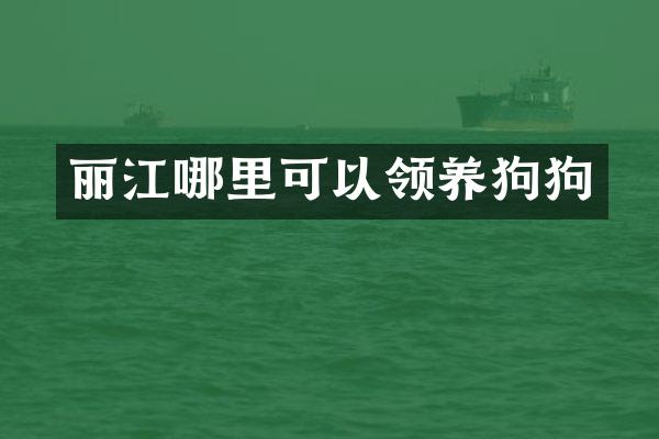 丽江哪里可以领狗