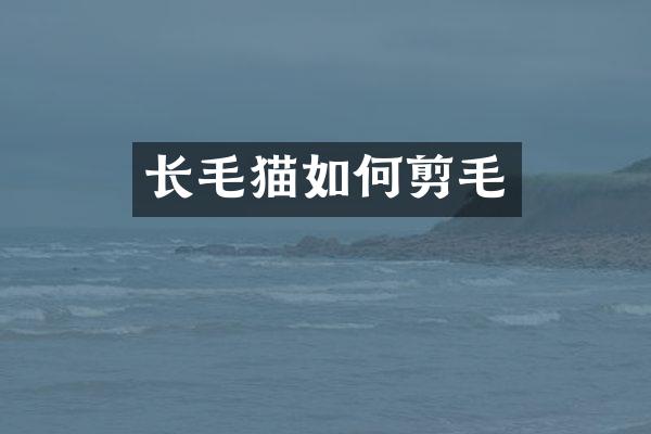 长毛猫如何剪毛