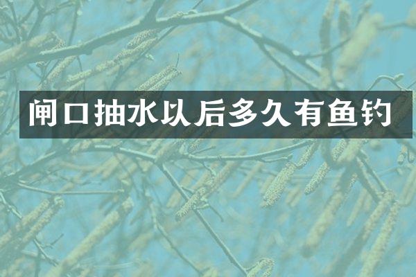 闸口抽水以后多久有鱼钓