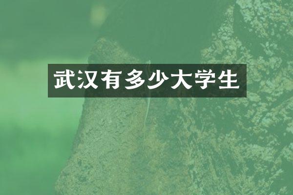 武汉有多少大学生