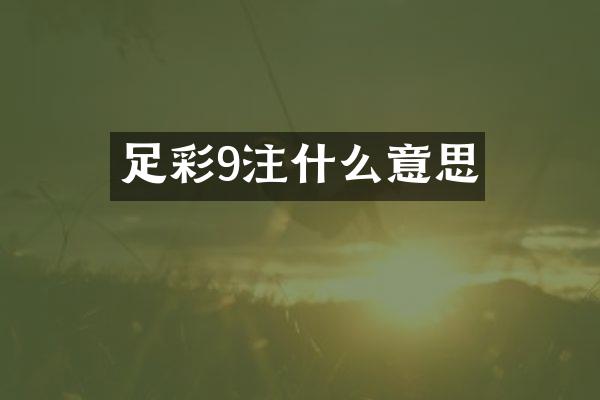 9注什么意思
