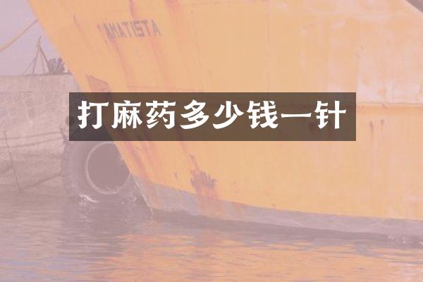 打麻药多少钱一针