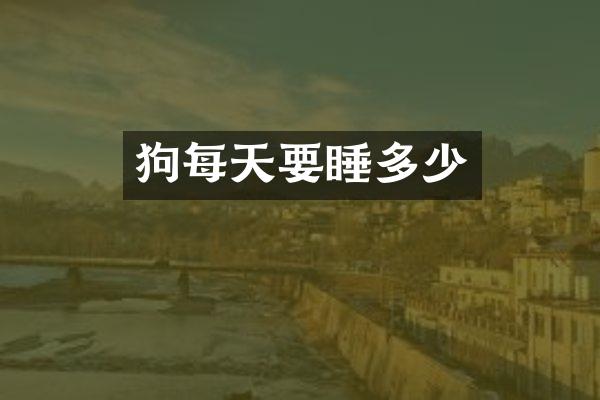 狗每天要睡多少