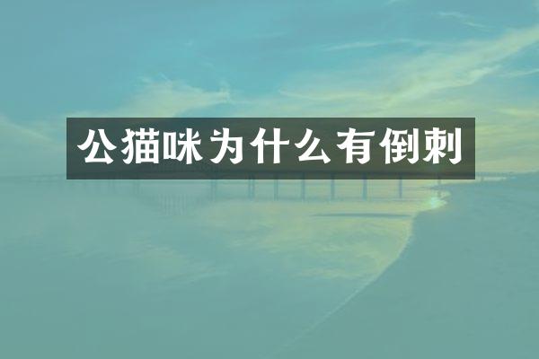 公猫咪为什么有倒刺