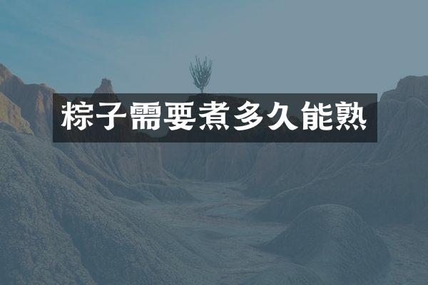粽子需要煮多久能熟