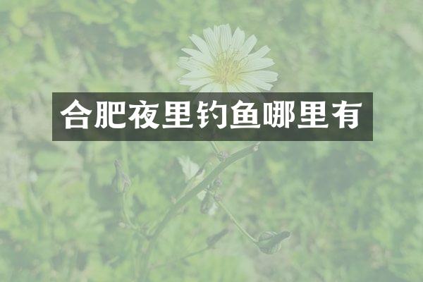 合肥夜里钓鱼哪里有