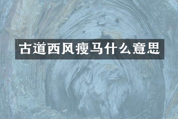 古道西风瘦马什么意思