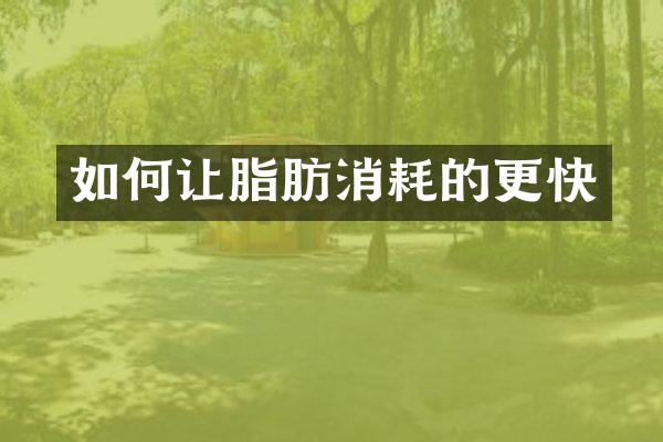 如何让脂肪消耗的更快