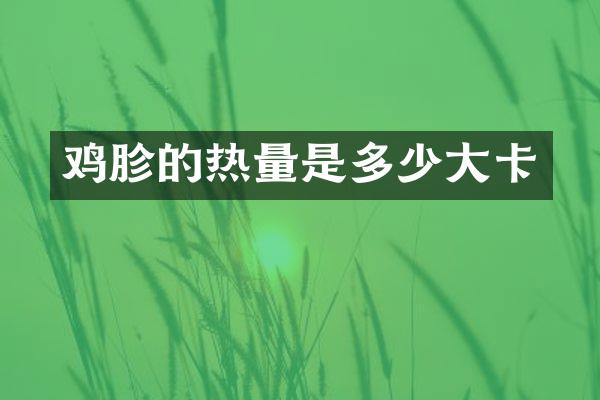 鸡胗的热量是多少大卡