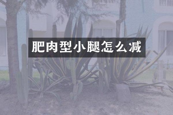 肥肉型小腿怎么减