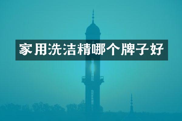 家用洗洁精哪个牌子好