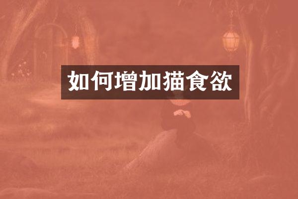 如何增加猫食欲