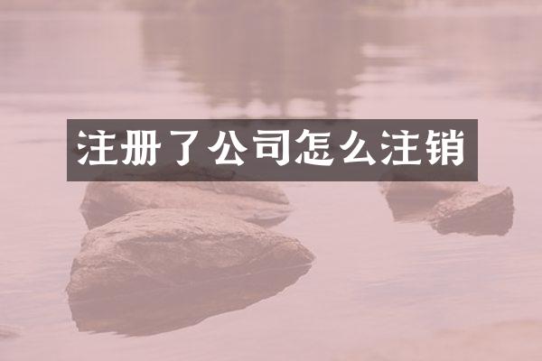 注册了公司怎么注销