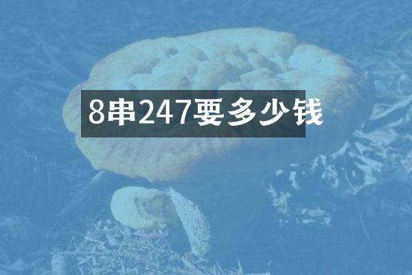 8串247要多少钱