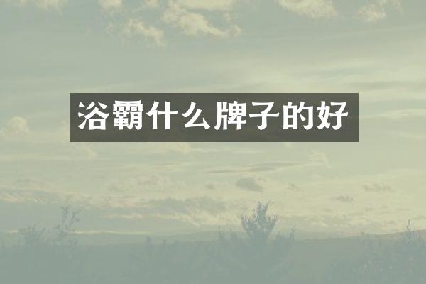浴霸什么牌子的好
