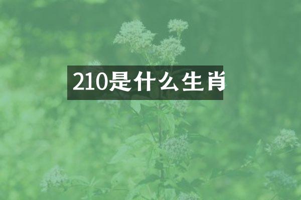 210是什么生肖