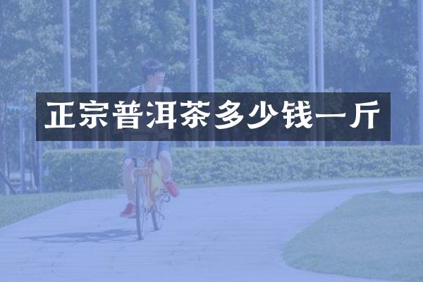 正宗普洱茶多少钱一斤
