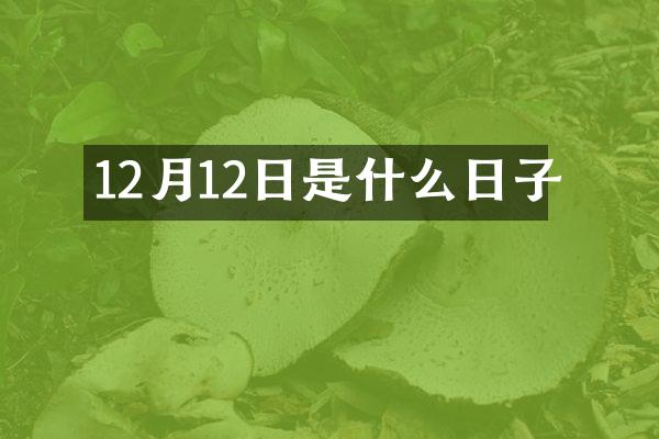 12月12日是什么日子