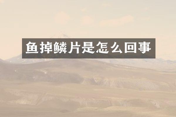 鱼掉鳞片是怎么回事