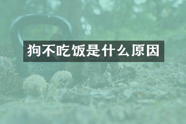 狗不吃饭是什么原因