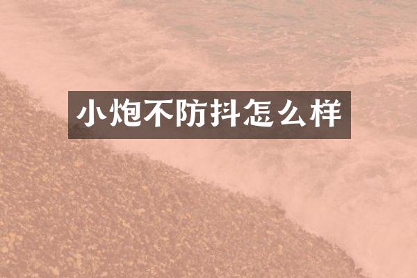小炮不防抖怎么样