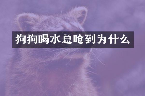 狗狗喝水总呛到为什么