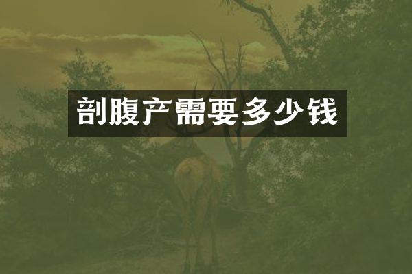 剖腹产需要多少钱
